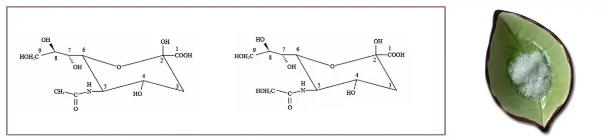 Sialic Acid Sale.jpg